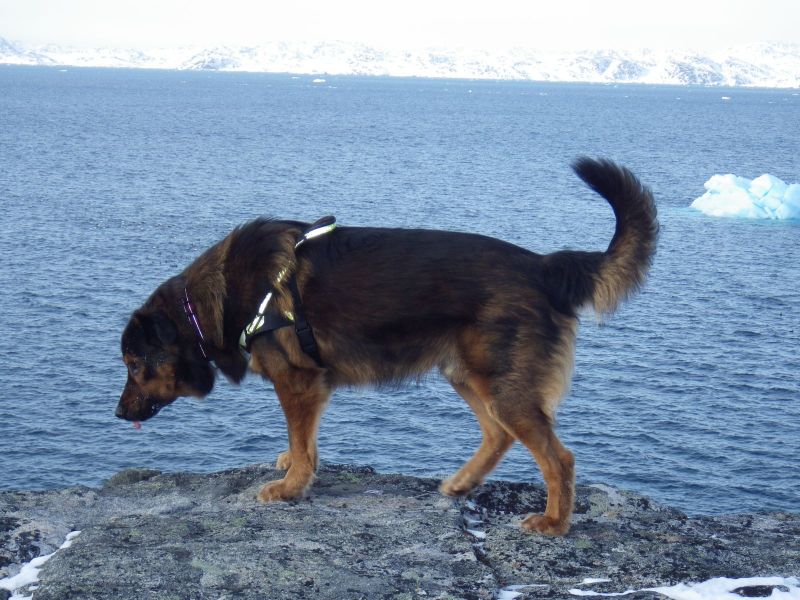 2013-02-20-1636_-_djanco_6