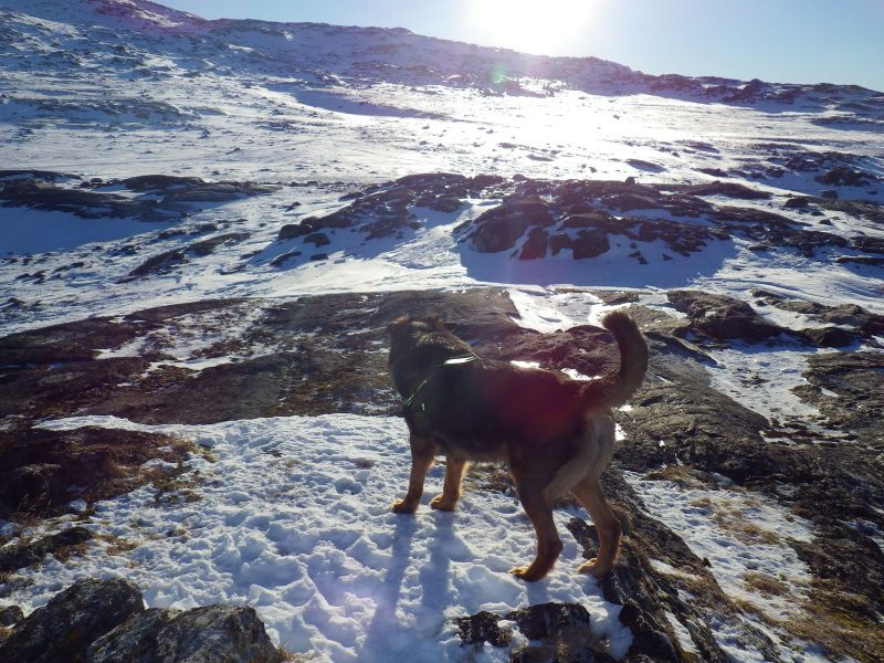 2013-02-25-1926_-_djanco