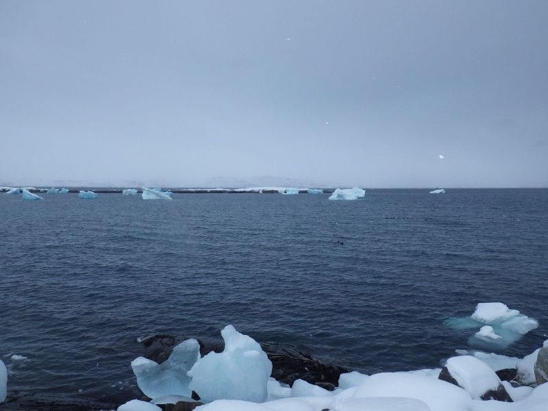 2013-03-01-1643_-_isskosse
