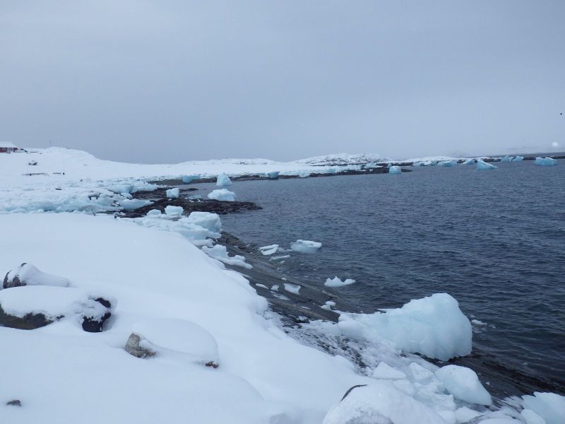 2013-03-01-1643_-_isskosse_2