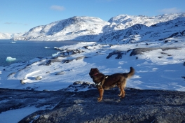 2013-02-25-1924_-_djanco