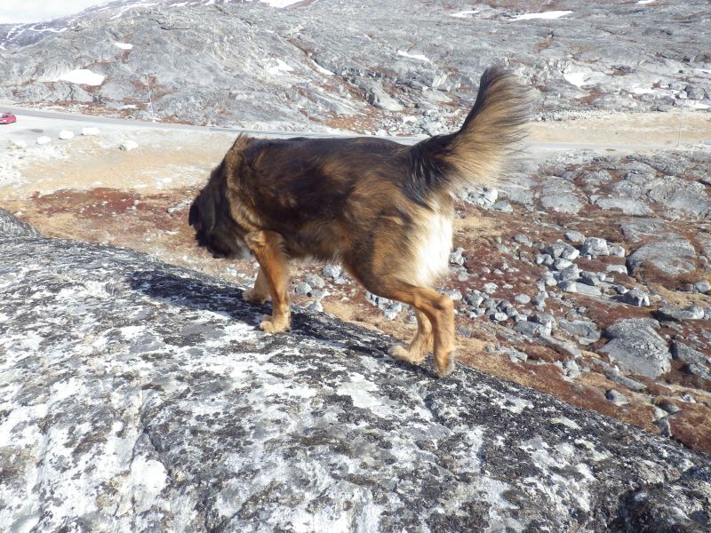 2013-04-16-1805_-_djanco
