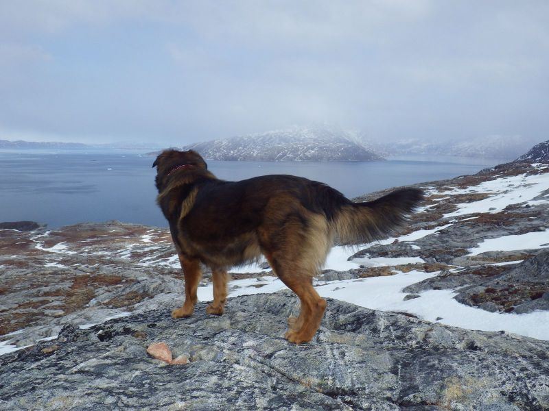 2013-04-17-1654_-_djanco_sermitsiaq