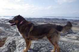2013-04-17-1643_-_djanco