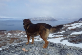 2013-04-17-1654_-_djanco_sermitsiaq