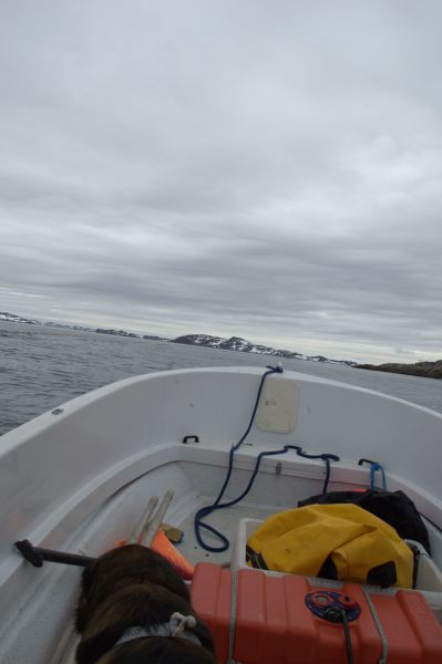 2013-05-30-1641_-_djanco