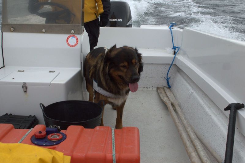 2013-05-30-1654_-_djanco