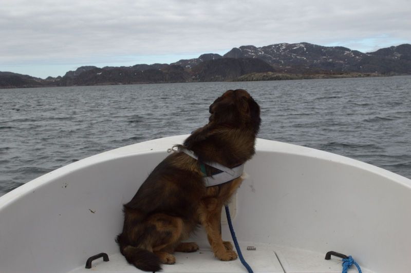 2013-05-30-1723_-_djanco