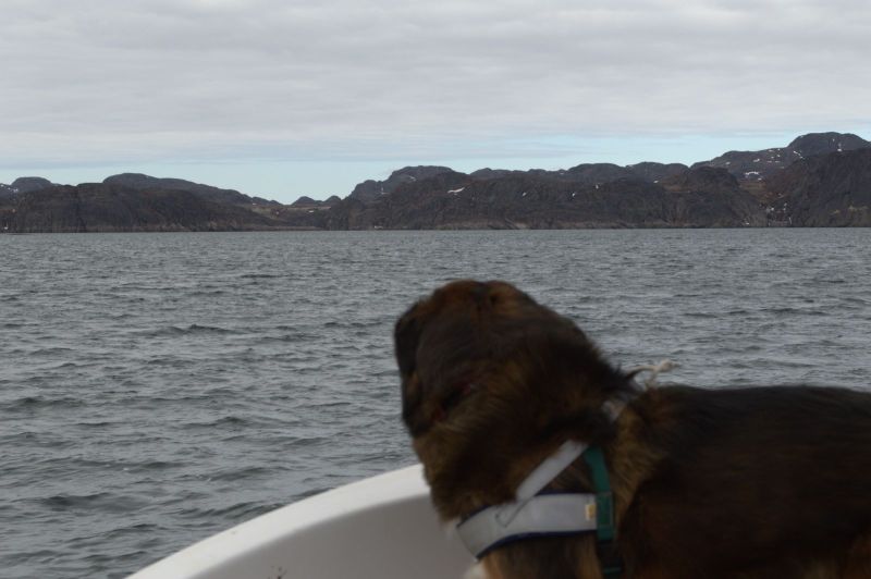 2013-05-30-1723_-_djanco_2