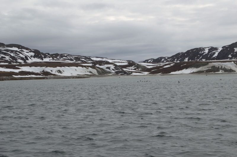 2013-05-30-1727_-_-_2