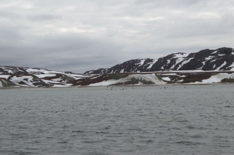 2013-05-30-1727_-_-_3