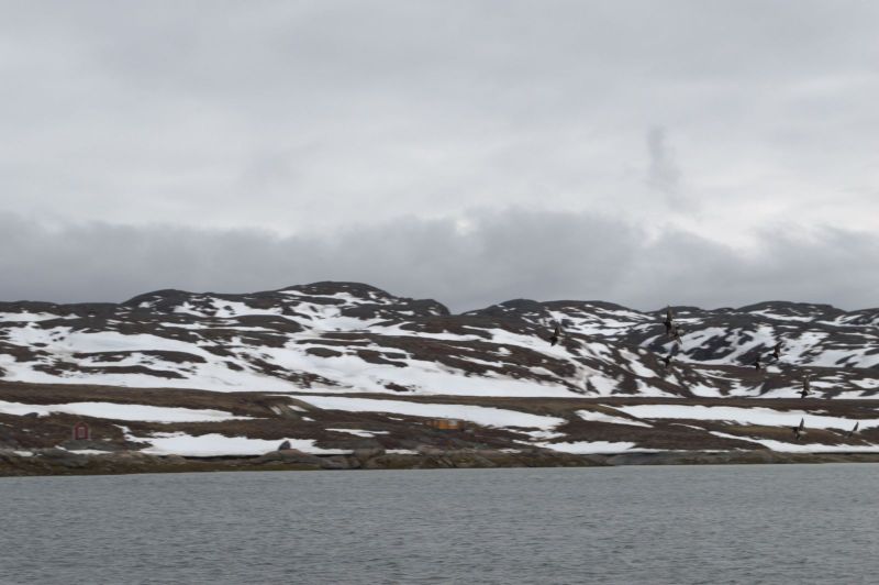 2013-05-30-1727_-_-_4