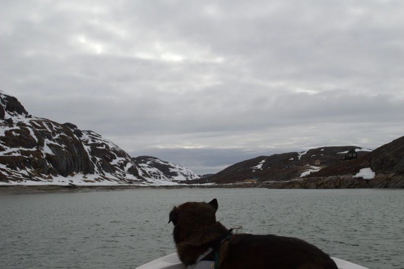 2013-05-30-1729_-_djanco