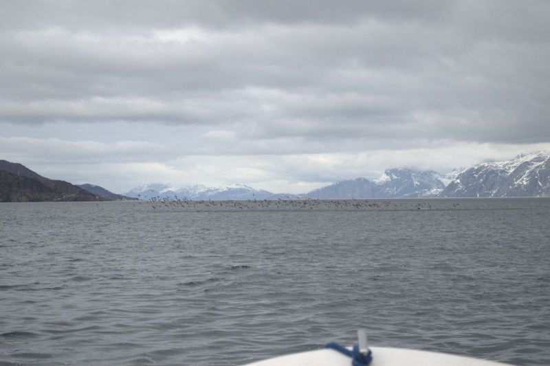 2013-05-30-1741_-_-_2