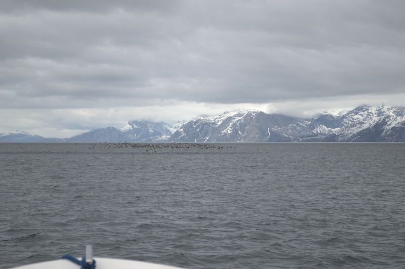 2013-05-30-1741_-_-_3