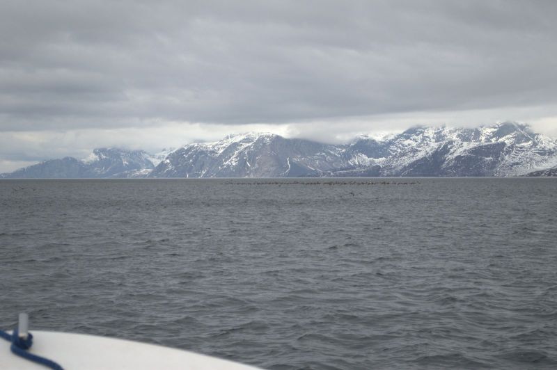 2013-05-30-1741_-_-_4