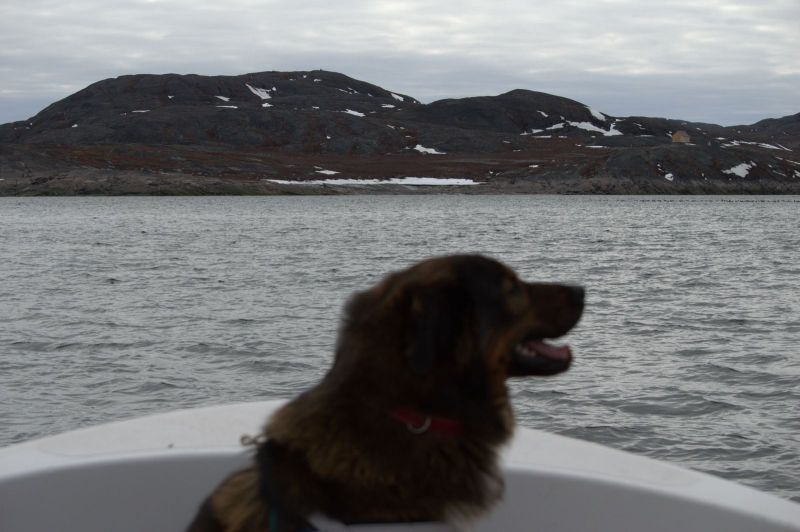 2013-05-30-1744_-_djanco