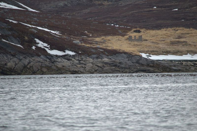 2013-05-30-1747_-_-_2