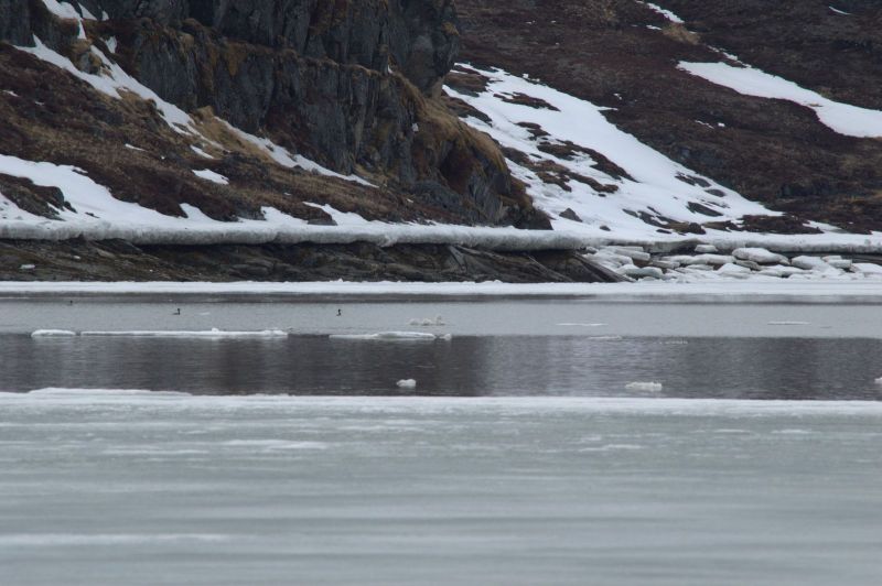 2013-05-30-1821_-_-_2