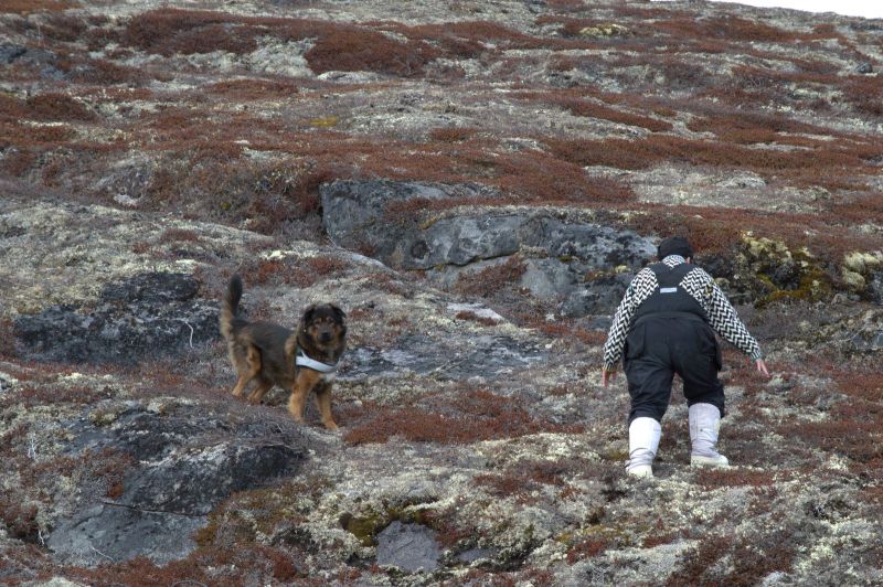 2013-05-30-1849_-_djanco-maren-mikkelsen-lennert_2