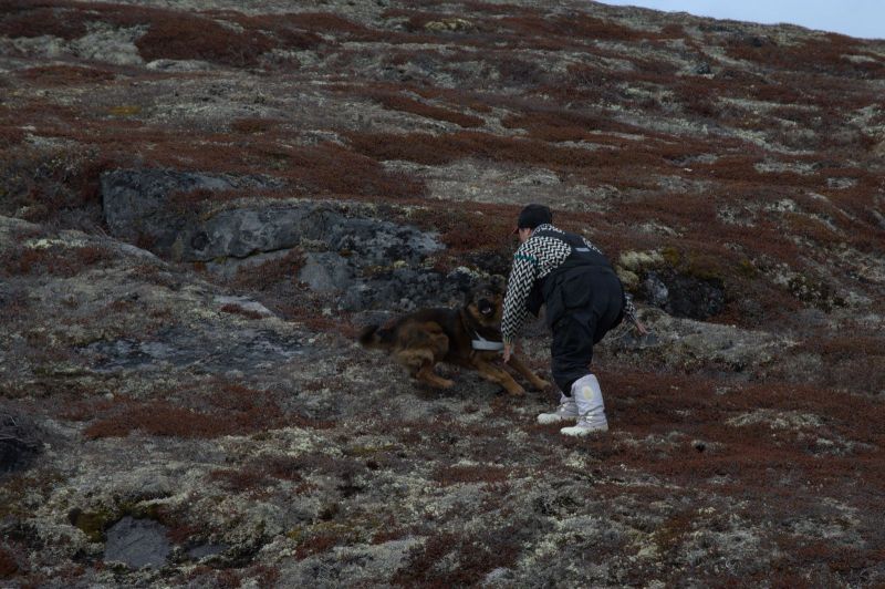 2013-05-30-1849_-_djanco-maren-mikkelsen-lennert_3