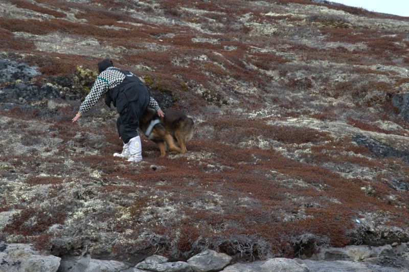 2013-05-30-1849_-_djanco-maren-mikkelsen-lennert_4