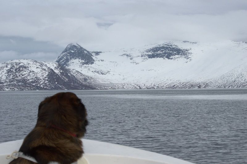 2013-05-30-1901_-_djanco