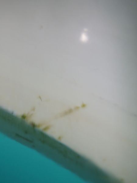 2013-05-30-2124_-_undervandsbillede_3