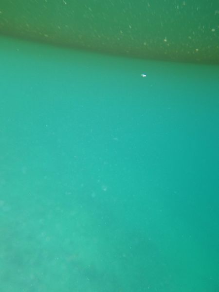 2013-05-30-2155_-_undervandsbillede_2