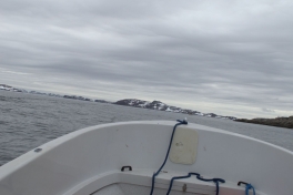 2013-05-30-1641_-_djanco