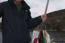 2013-06-30-1219_-_tom-pedersen_torsk