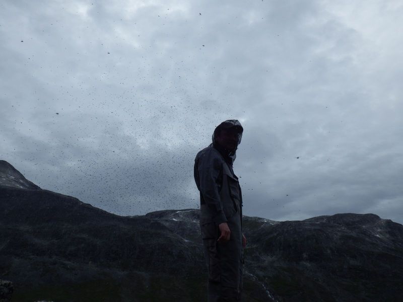 2013-08-01-1926_-_gnat_klaus-lage-labansen_soeren-labansen