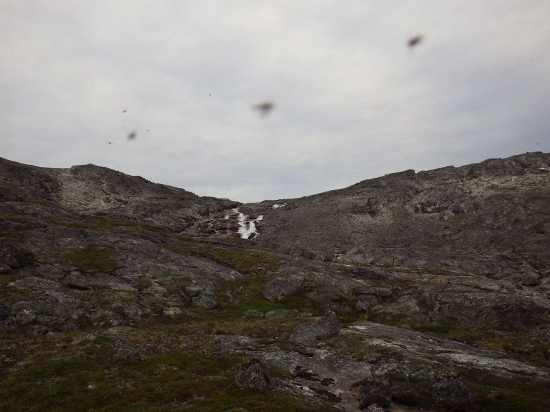 2013-08-02-1014_-_-_2