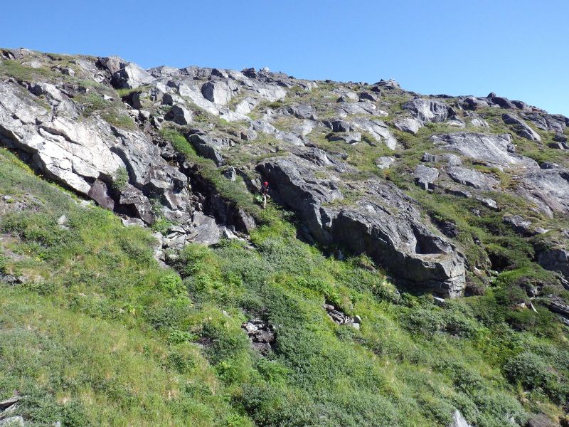 2013-08-06-1540_-_vegetation