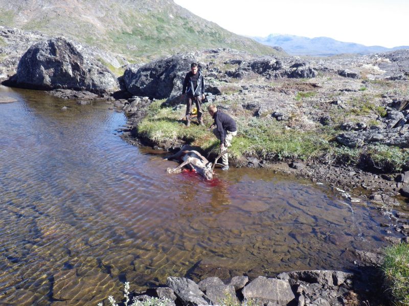 2013-08-06-1725_-_oliver-lage-labansen