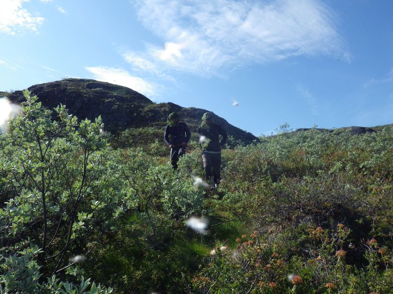 2013-08-10-1739_-_martin-pedersen_tom-pedersen