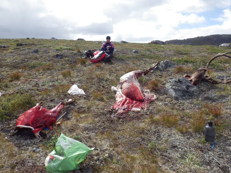 2013-08-17-1818_-_bylt_jesper-eugenius-labansen