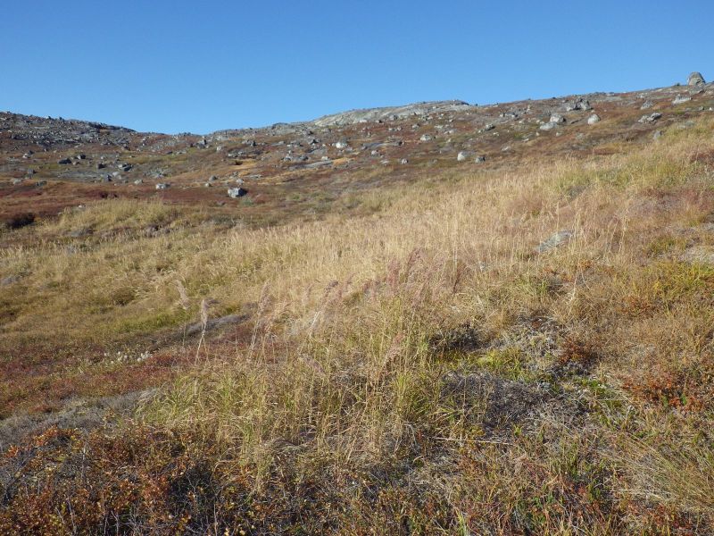 2013-09-20_qussuk_021