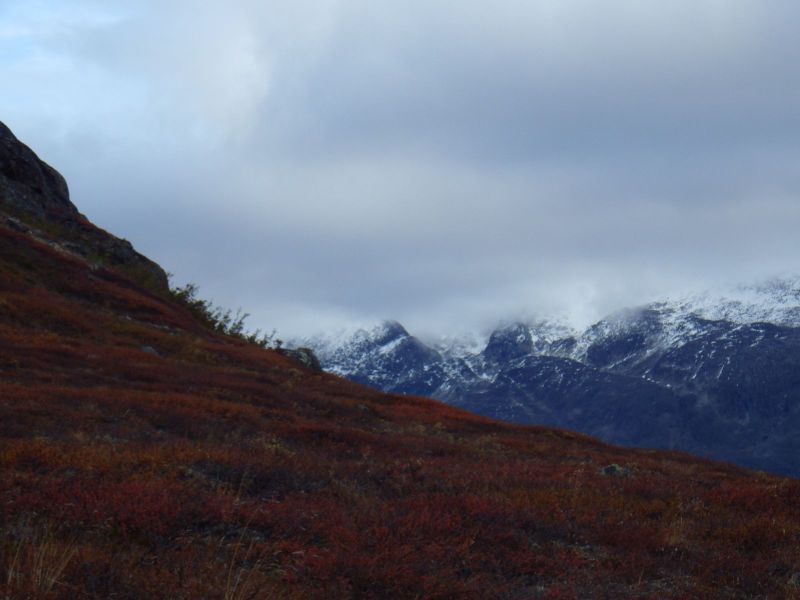 2013-09-28-1915_-_vegetation