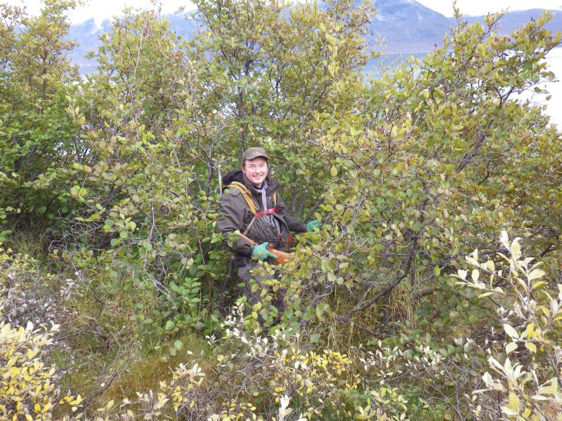 2013-09-28-1935_-_soeren_labansen_vegetation