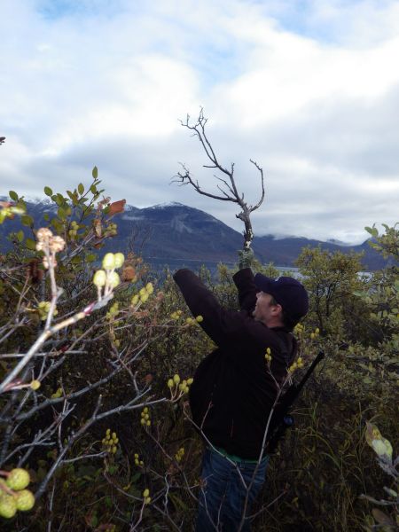 2013-09-28-1939_-_morten_peter_skipper_jensen_vegetation