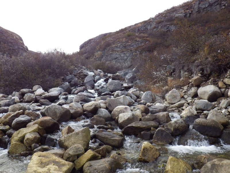 2013-10-05-1752_-_gode_1