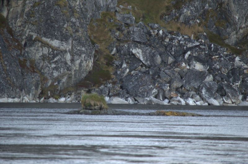 2013-10-06-0851_-_gode_1