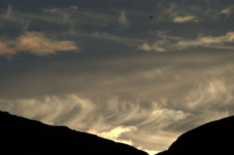 2013-10-06-0853_-_gode_1_oern