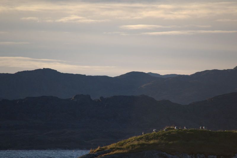 2013-10-06-0905_-_gode_1_maage