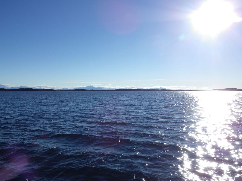 2013-10-06-1502_-_gode_1