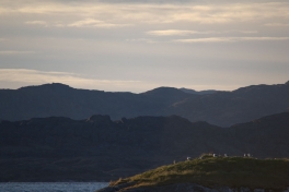 2013-10-06-0905_-_gode_1_maage