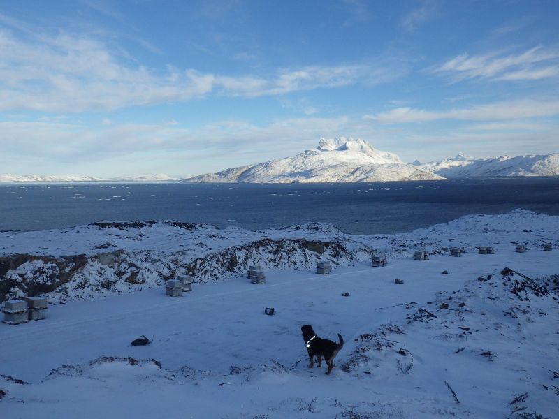 2013-11-01-1037_-_djanco_gode_1_sermitsiaq