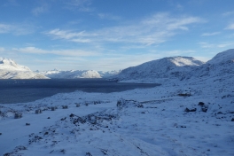 2013-11-01-1037_-_djanco_gode_1