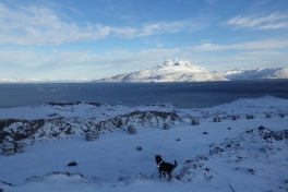 2013-11-01-1037_-_djanco_gode_1_sermitsiaq